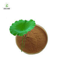 Lotus leaf Extract Nuciferine Lotus flavones 20%